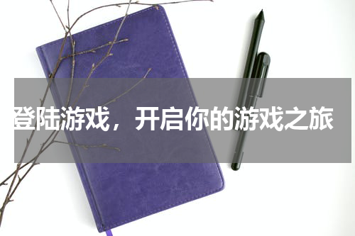  登陆游戏，开启你的游戏之旅
