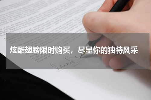  炫酷翅膀限时购买，尽显你的独特风采