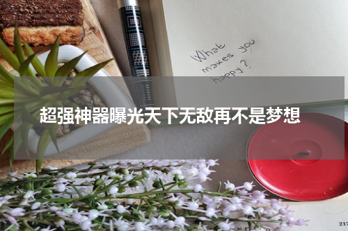  超强神器曝光天下无敌再不是梦想