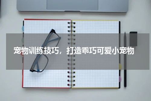  宠物训练技巧，打造乖巧可爱小宠物
