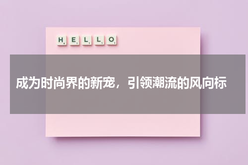  成为时尚界的新宠，引领潮流的风向标