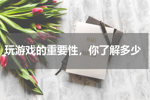  玩游戏的重要性，你了解多少