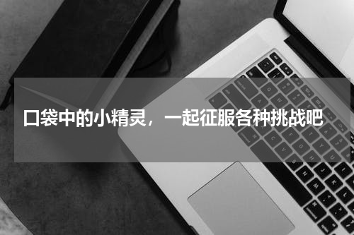  口袋中的小精灵，一起征服各种挑战吧