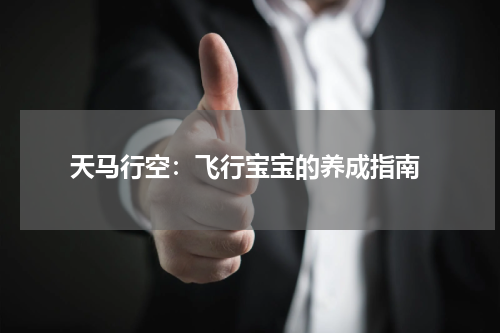  天马行空：飞行宝宝的养成指南
