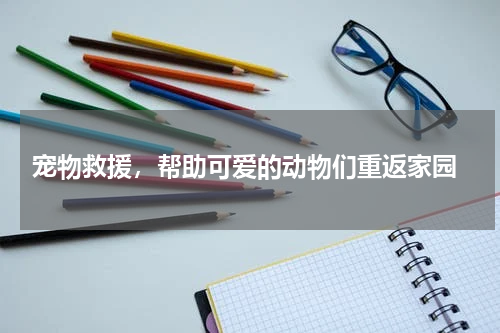  宠物救援，帮助可爱的动物们重返家园