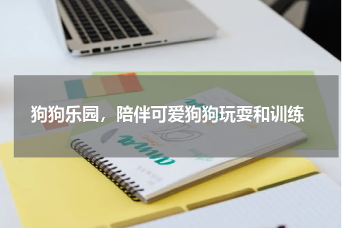  狗狗乐园，陪伴可爱狗狗玩耍和训练