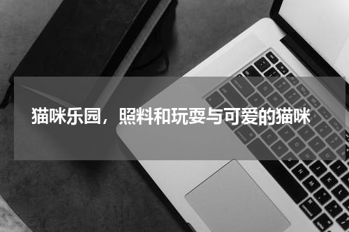  猫咪乐园，照料和玩耍与可爱的猫咪