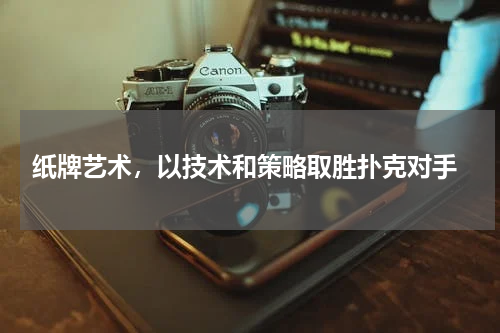  纸牌艺术，以技术和策略取胜扑克对手
