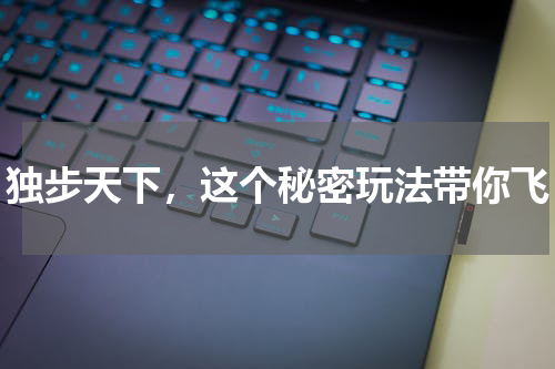独步天下，这个秘密玩法带你飞