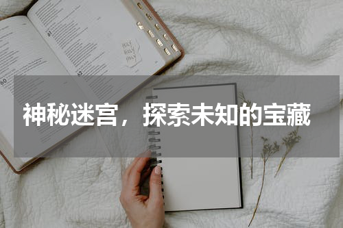  神秘迷宫，探索未知的宝藏