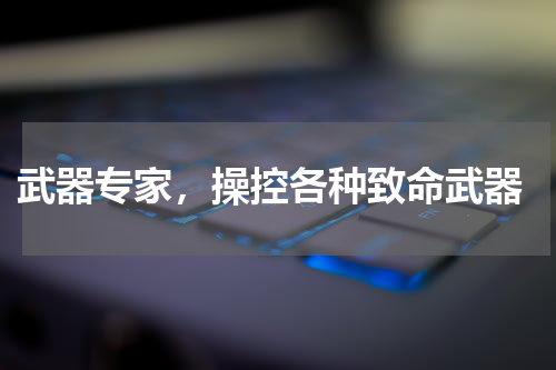  武器专家，操控各种致命武器
