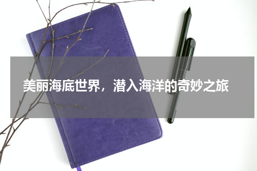  美丽海底世界，潜入海洋的奇妙之旅