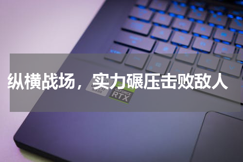  纵横战场，实力碾压击败敌人
