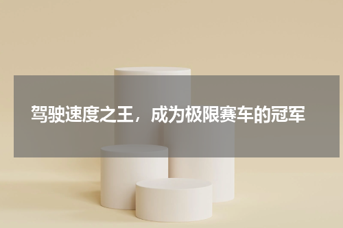  驾驶速度之王，成为极限赛车的冠军