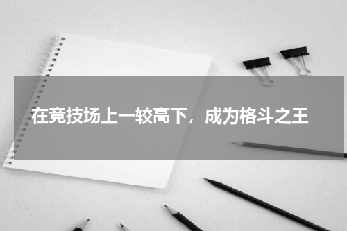  在竞技场上一较高下，成为格斗之王