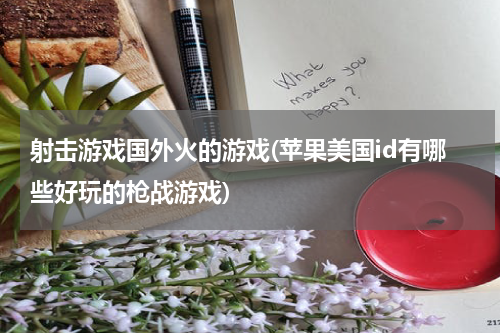 射击游戏国外火的游戏(苹果美国id有哪些好玩的枪战游戏)