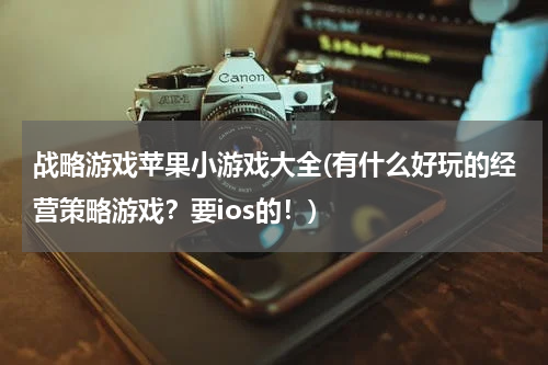 战略游戏苹果小游戏大全(有什么好玩的经营策略游戏？要ios的！)