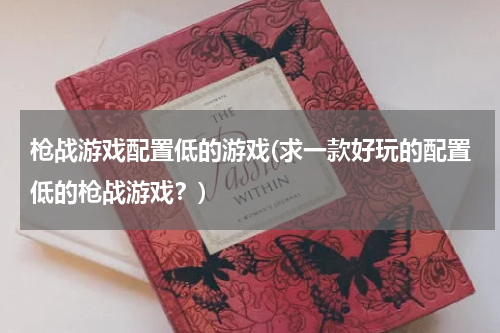 枪战游戏配置低的游戏(求一款好玩的配置低的枪战游戏？)