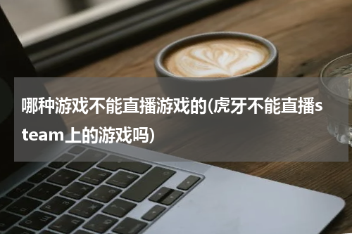 哪种游戏不能直播游戏的(虎牙不能直播steam上的游戏吗)