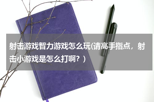 射击游戏智力游戏怎么玩(请高手指点，射击小游戏是怎么打啊？)