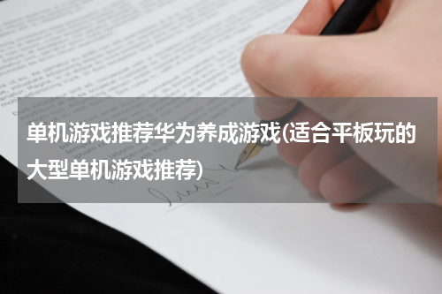 单机游戏推荐华为养成游戏(适合平板玩的大型单机游戏推荐)