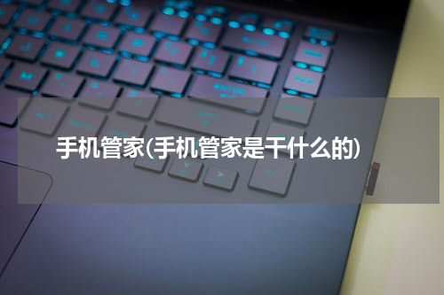 手机管家(手机管家是干什么的)