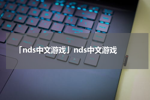 「nds中文游戏」nds中文游戏