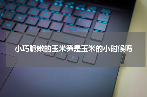 小巧脆嫩的玉米笋是玉米的小时候吗