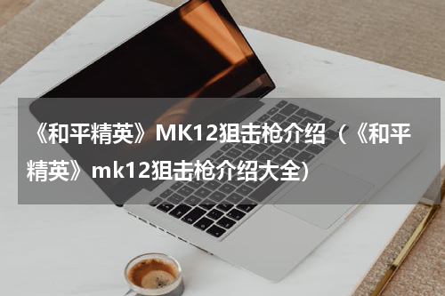 《和平精英》MK12狙击枪介绍（《和平精英》mk12狙击枪介绍大全）
