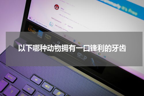 以下哪种动物拥有一口锋利的牙齿