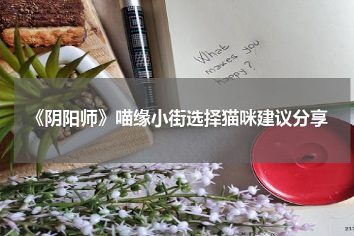 《阴阳师》喵缘小街选择猫咪建议分享