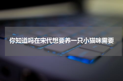 你知道吗在宋代想要养一只小猫咪需要