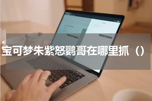 宝可梦朱紫怒鹦哥在哪里抓（）