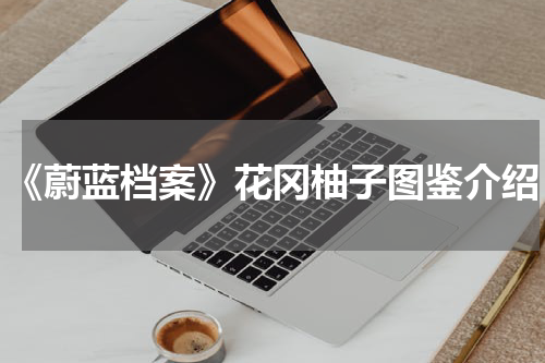 《蔚蓝档案》花冈柚子图鉴介绍