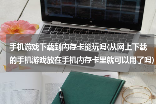 手机游戏下载到内存卡能玩吗(从网上下载的手机游戏放在手机内存卡里就可以用了吗)