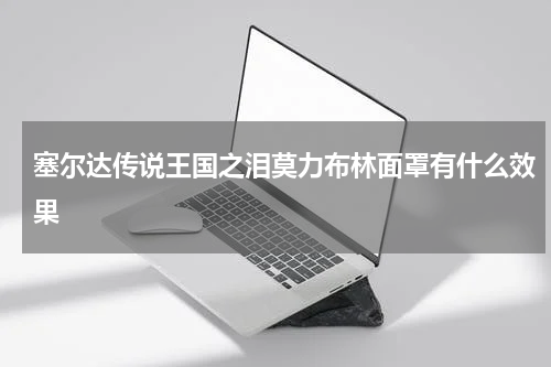 塞尔达传说王国之泪莫力布林面罩有什么效果