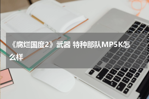 《腐烂国度2》武器 特种部队MP5K怎么样