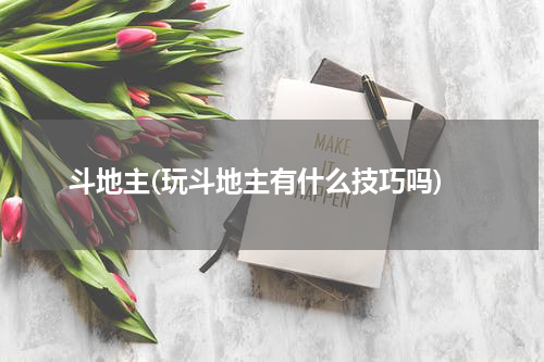 斗地主(玩斗地主有什么技巧吗)