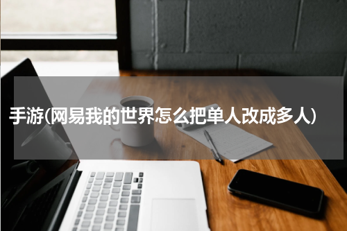 手游(网易我的世界怎么把单人改成多人)