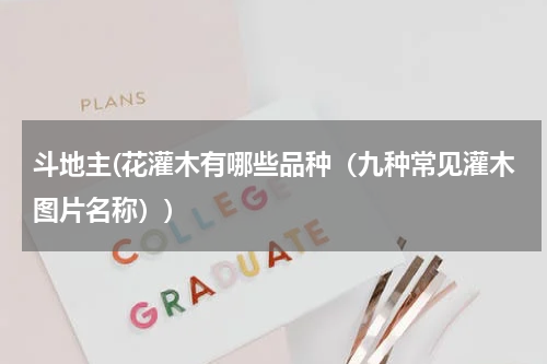 斗地主(花灌木有哪些品种（九种常见灌木图片名称）)