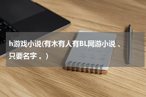 h游戏小说(有木有人有BL网游小说 、只要名字 。)