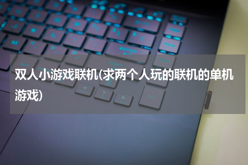 双人小游戏联机(求两个人玩的联机的单机游戏)