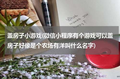 盖房子小游戏(微信小程序有个游戏可以盖房子好像是个农场有洋叫什么名字)
