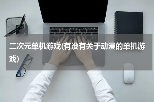二次元单机游戏(有没有关于动漫的单机游戏)