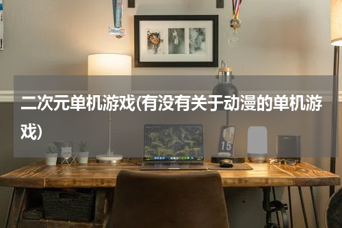 二次元单机游戏(有没有关于动漫的单机游戏)