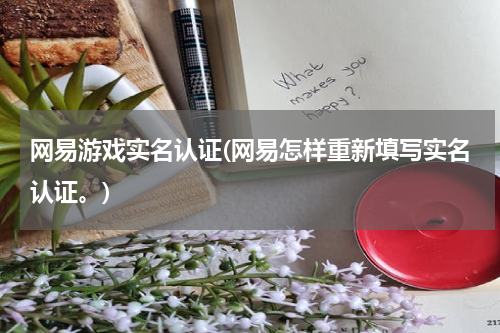 网易游戏实名认证(网易怎样重新填写实名认证。)