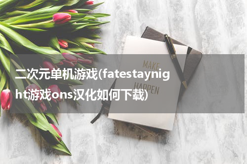 二次元单机游戏(fatestaynight游戏ons汉化如何下载)