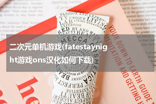 二次元单机游戏(fatestaynight游戏ons汉化如何下载)