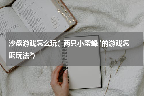 沙盘游戏怎么玩("两只小蜜蜂"的游戏怎麼玩法?)