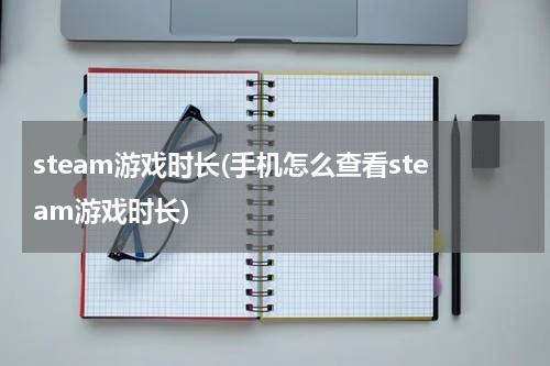 steam游戏时长(手机怎么查看steam游戏时长)